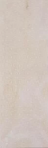 Onice 300x900 Wall Floral 2 Decor Beige Glossy