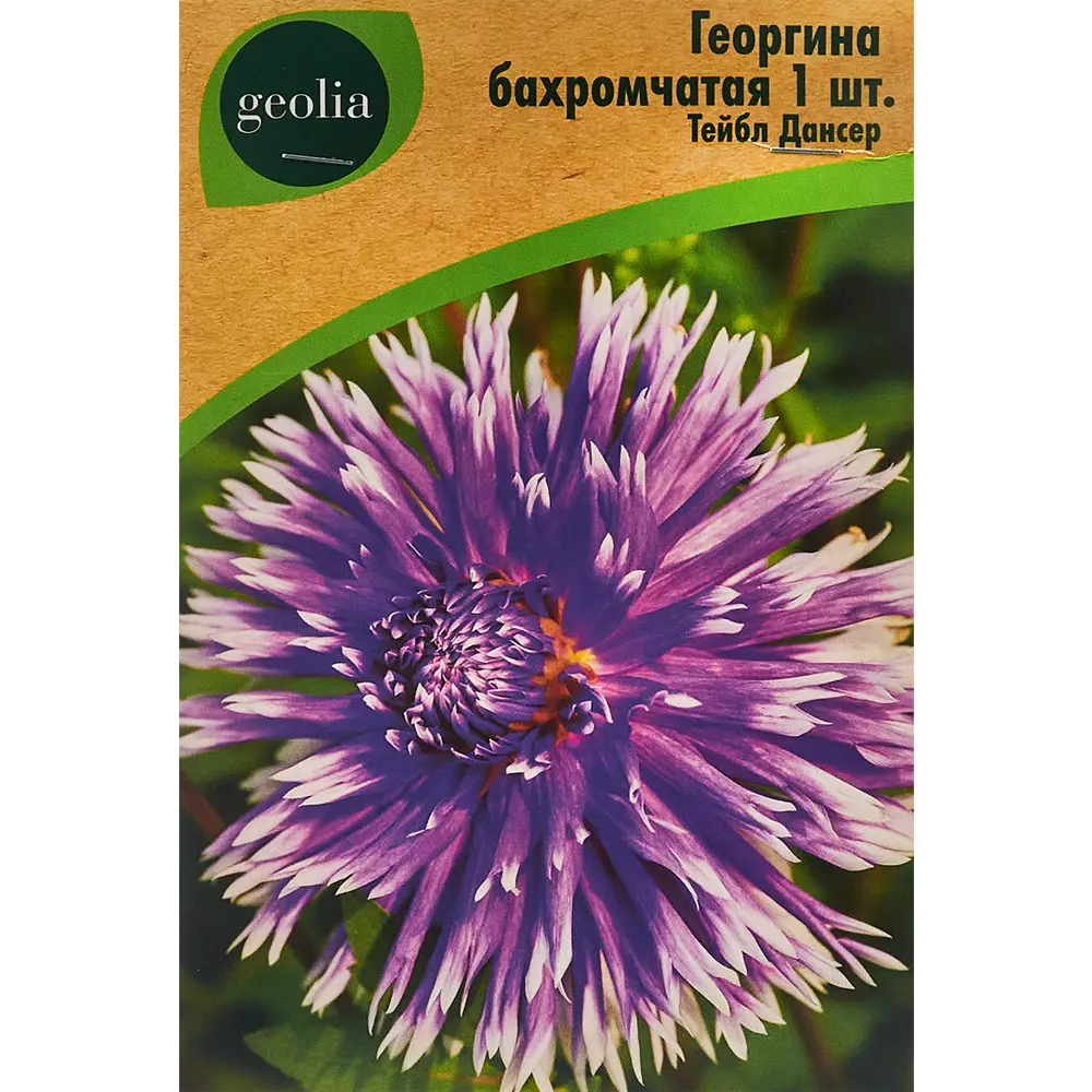 Георгина Geolia бахромчатая Тейбл Дансер 86408560 STLM-2207904 