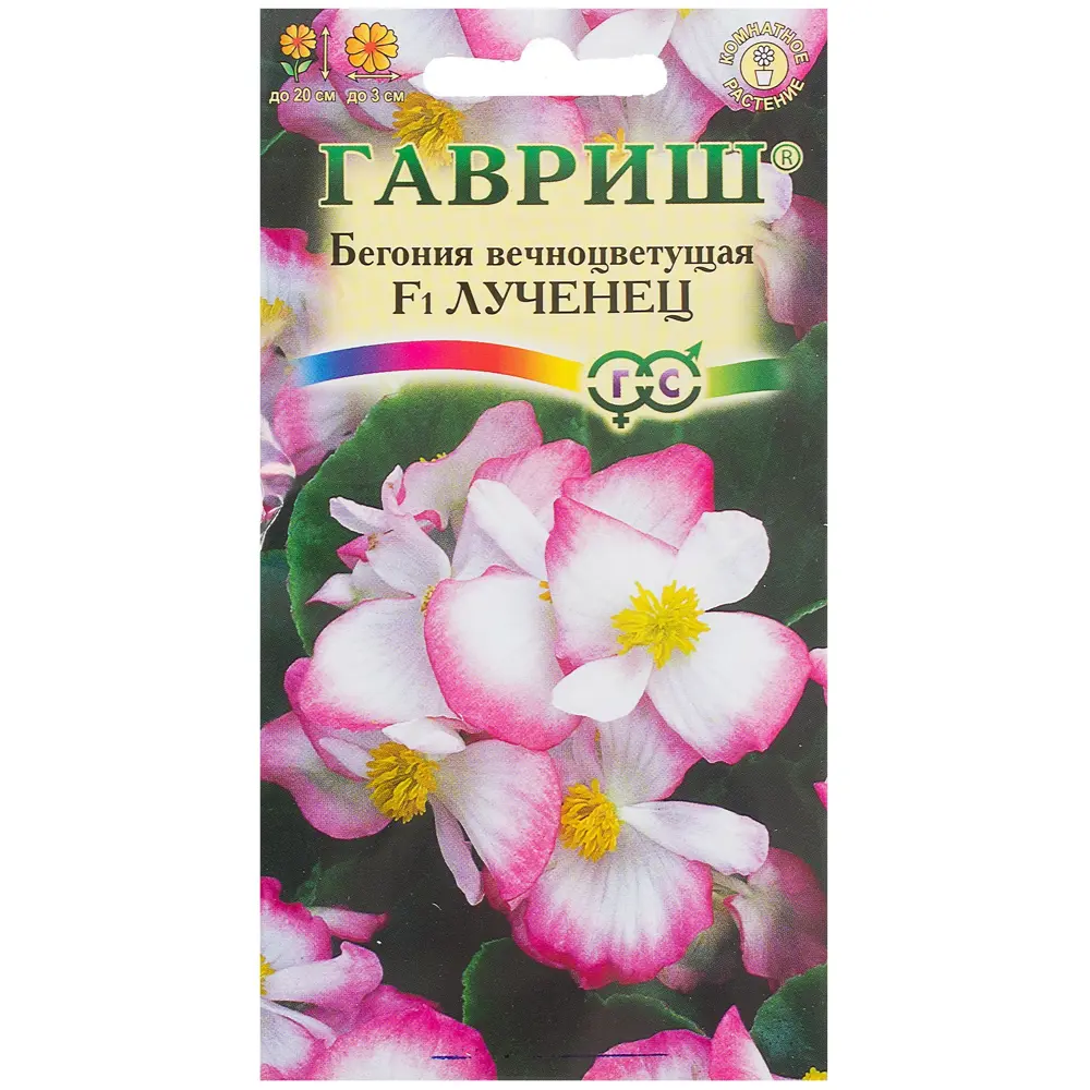 Бегония «Лученец» F1, h9, 5 шт. 81933411 STLM-2049317 ГАВРИШ 