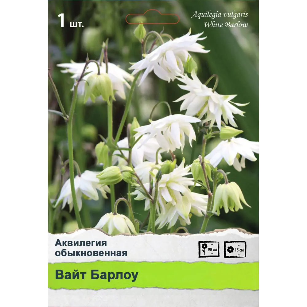 Многолетники Промо 89452319 STLM-2046450 ПОИСК 