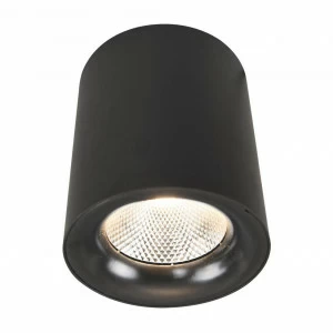 Потолочный светодиодный светильник Arte Lamp Facile A5118PL-1BK ARTE LAMP FACILE 203786 Черный