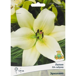 Лилия ла-гибрид Эрколано 85205737 STLM-2172501