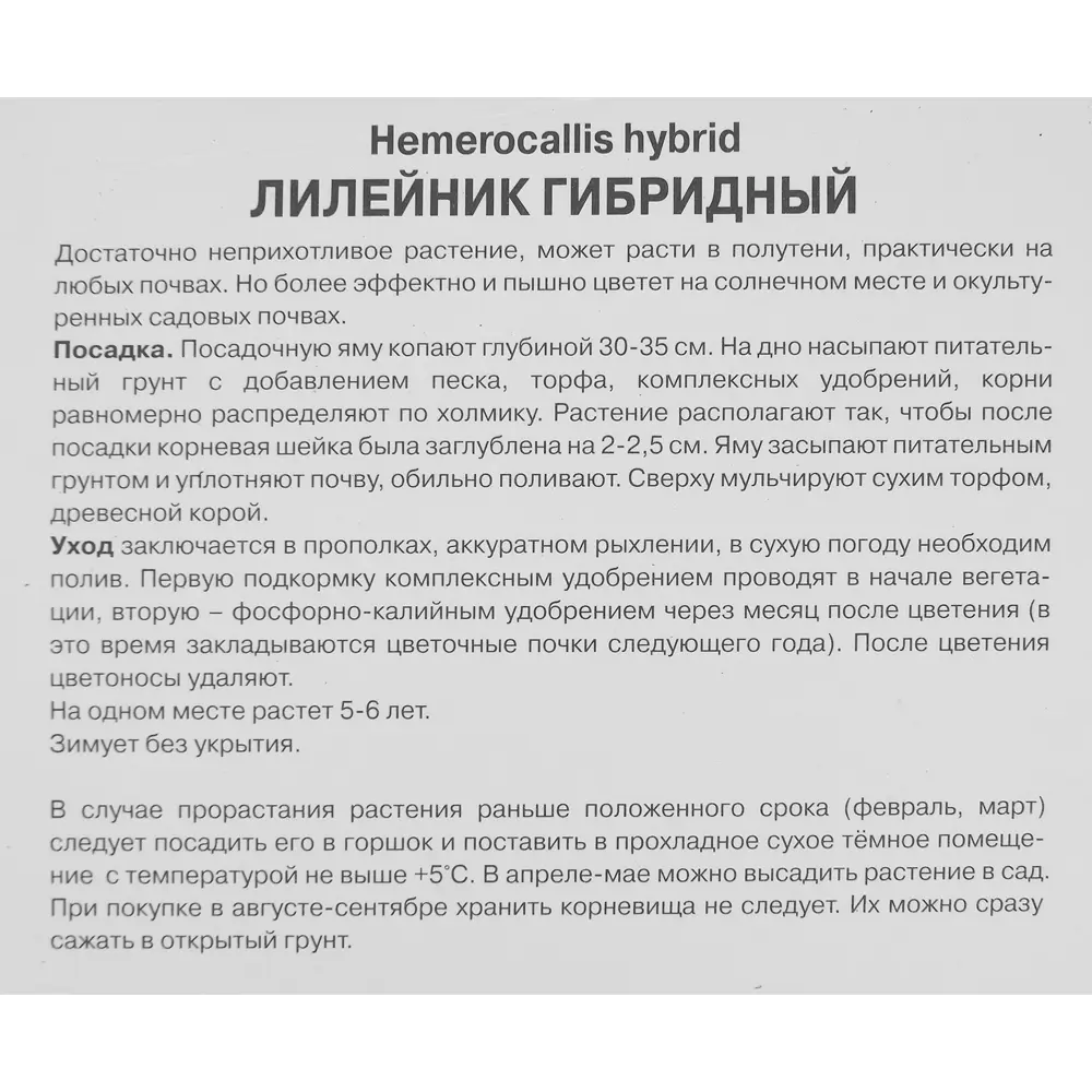 Лилейник гибридный Айд Твистер 85186038 STLM-2159427 ПОИСК  - Вид №2