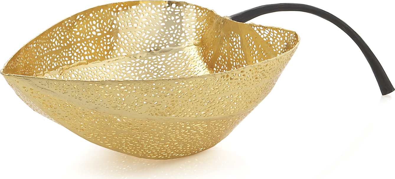 10541979 Michael Aram Чаша-лист Michael Aram "Физалис" 33x19см (золотистая) Сталь нержавеющая 