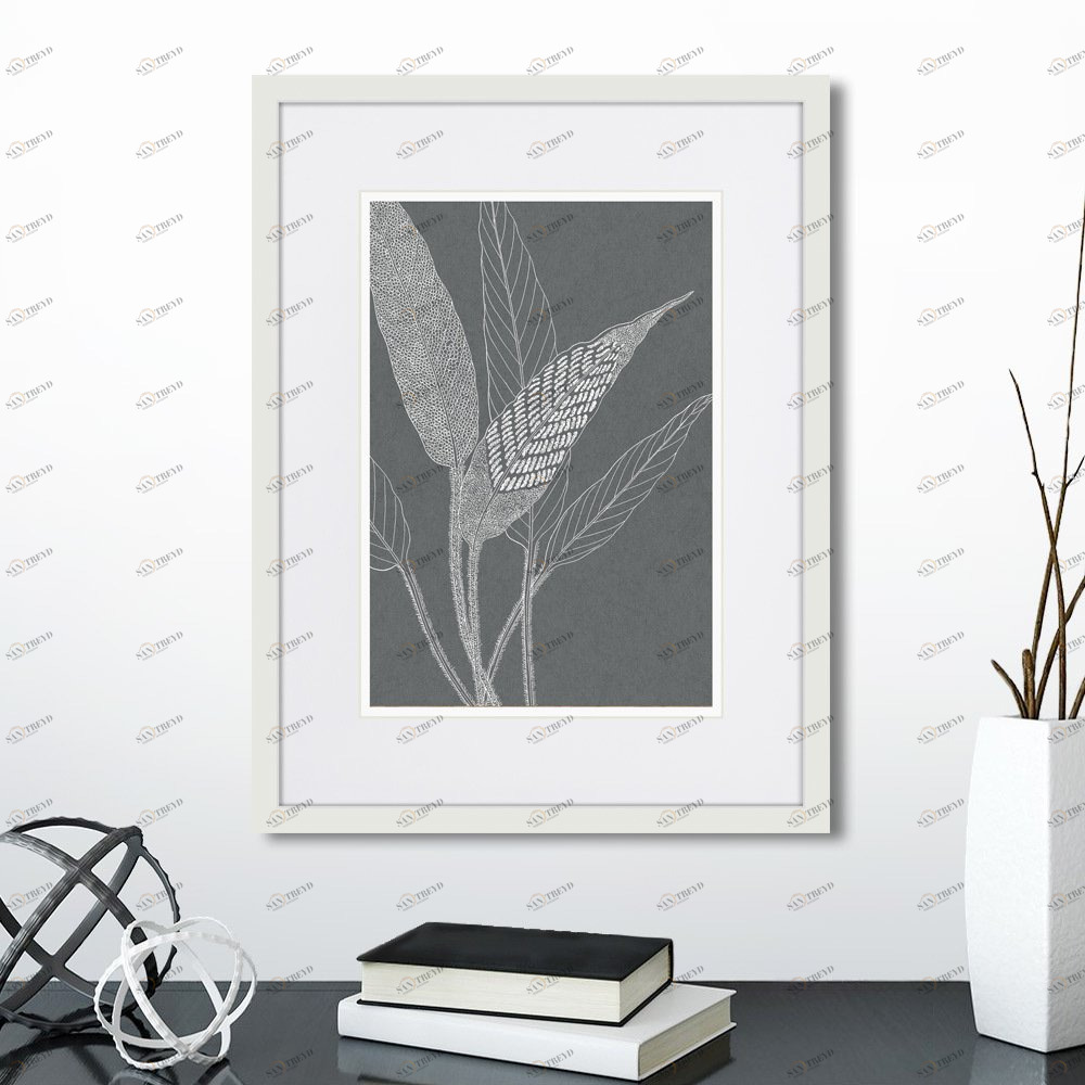 Картина 42х32 см The Fern Collection №32 КАРТИНЫ В КВАРТИРУ  00-3894684 Серый 