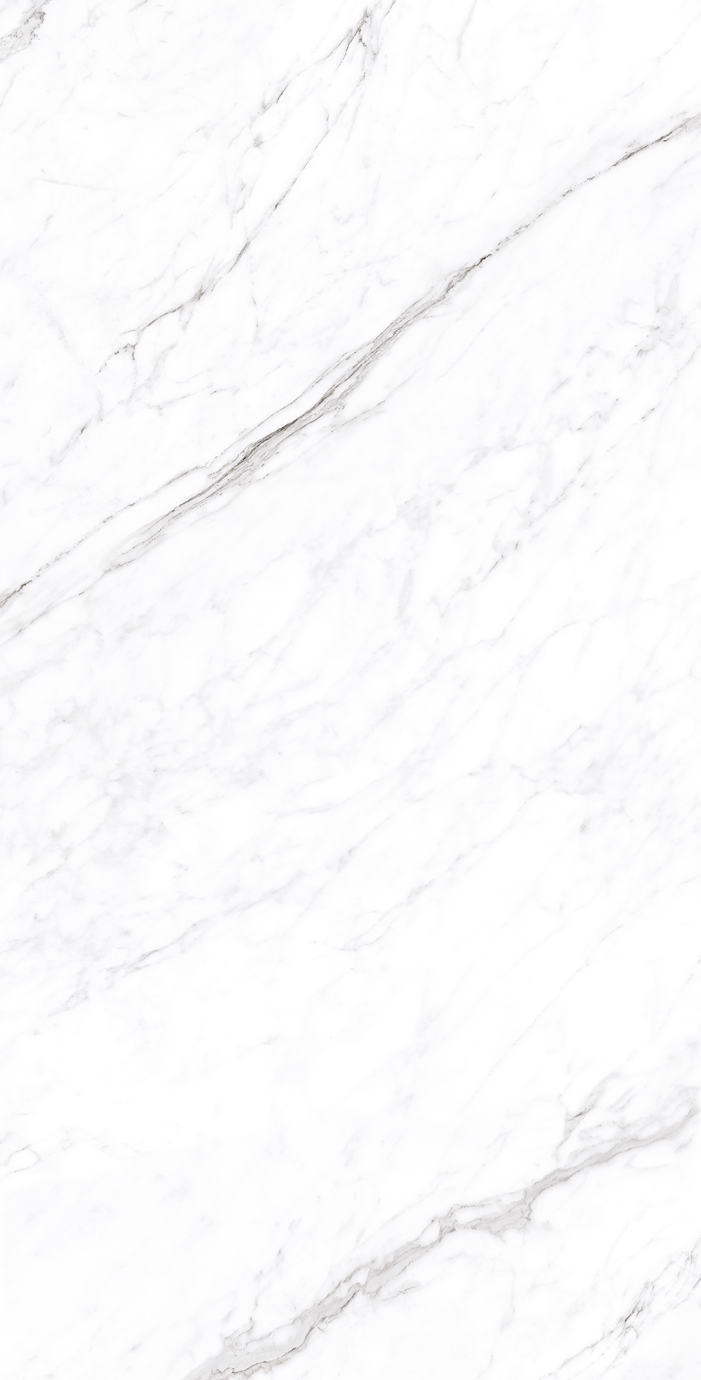 Белоснежный мраморный шедевр CORALINA WHITE CP4003-A Arcadia Ceramica - Вид №3