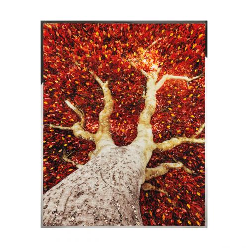 Albero Смешанная техника Visionnaire 