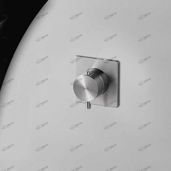 Термостат для душа сталь матовая AICO Radomonte TER90S