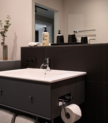 T33 Аксессуары vola  - Вид №93