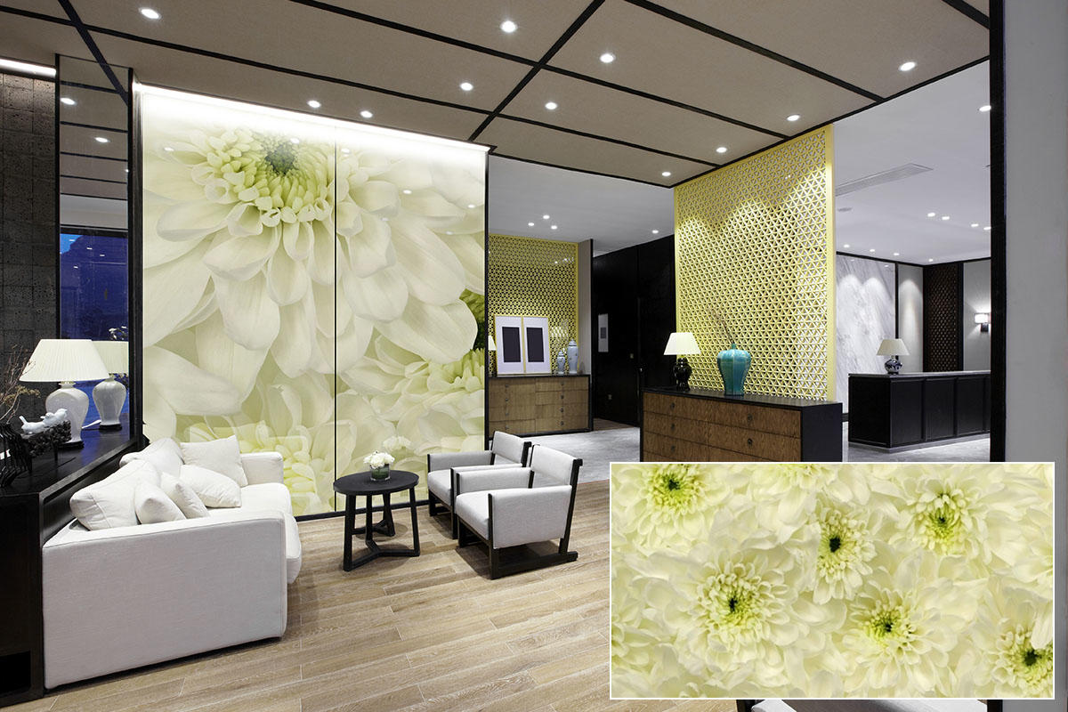 FSRT373 Зум-стекло Vivispectra с прослойкой из желтого агата Forms-surfaces  - Вид №13