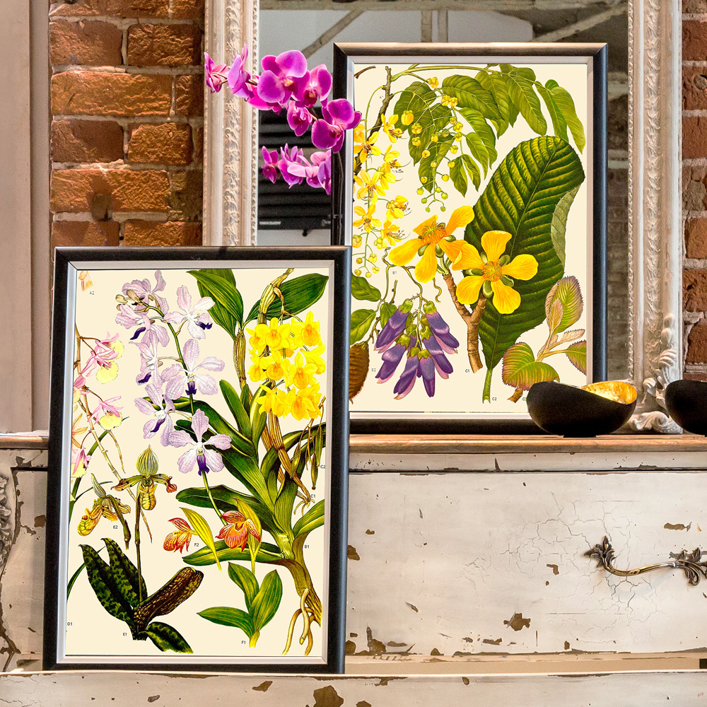 896519648_1818 Арт-постер «Цветочная энциклопедия, глава 15» Object Desire  - Вид №1