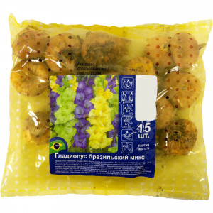 17511309 Гладиолус бразильский микс