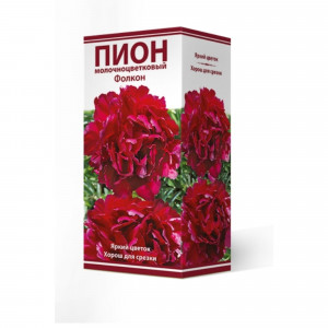 83600337 Пион травянистый Фолкон луковица 2-3