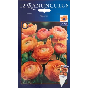 Лютик оранжевый 8/+, 12 шт 82539405 STLM-2126361