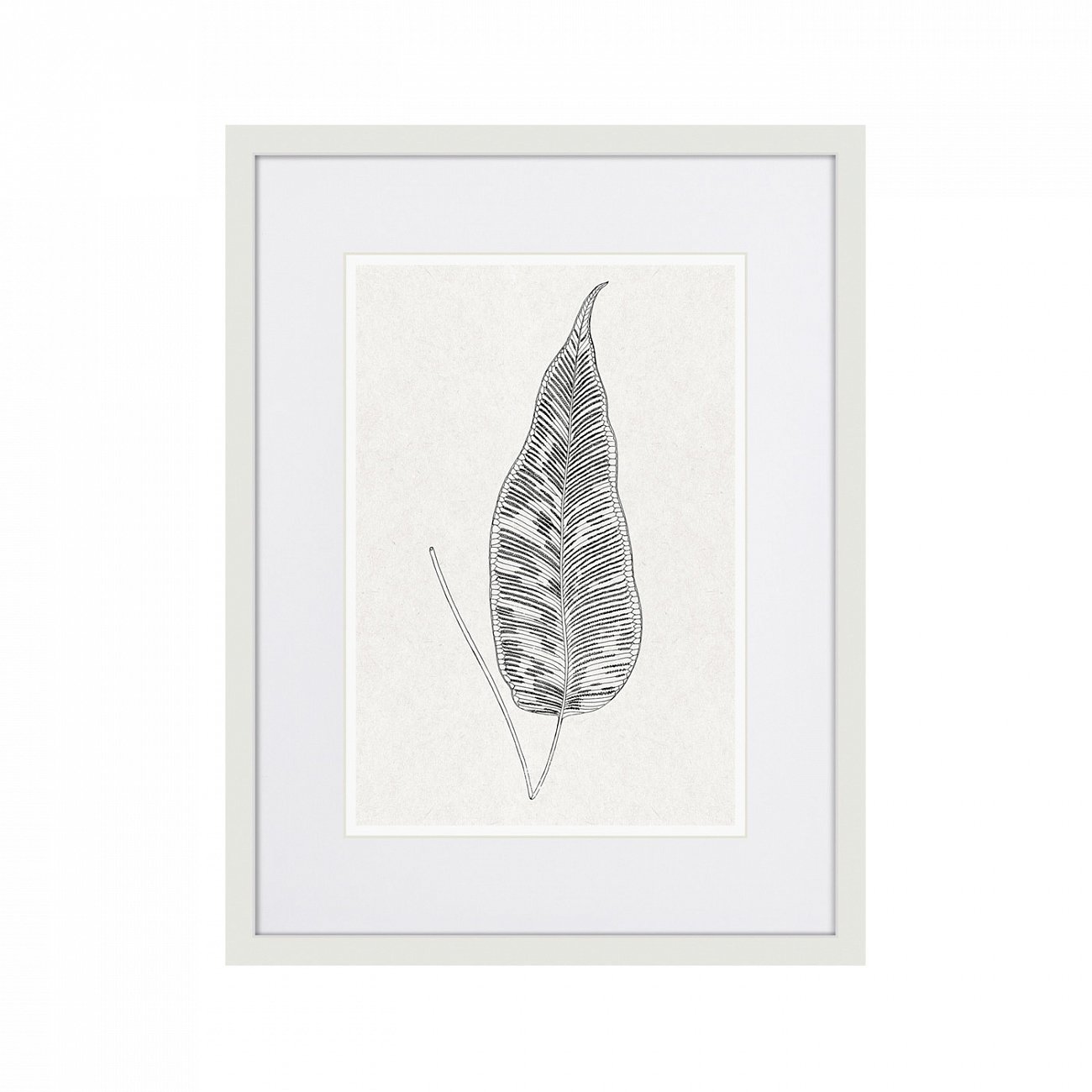 Картина в раме 42х32 см The fern collection №5 КАРТИНЫ В КВАРТИРУ  264464 Серый  - Вид №1