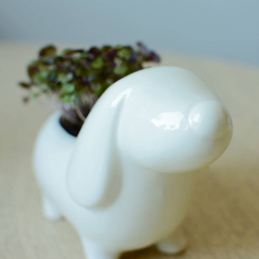 Набор для выращивания Eco Собачка ЭКОЧЕЛОВЕКИ ECS305 - Вид №1