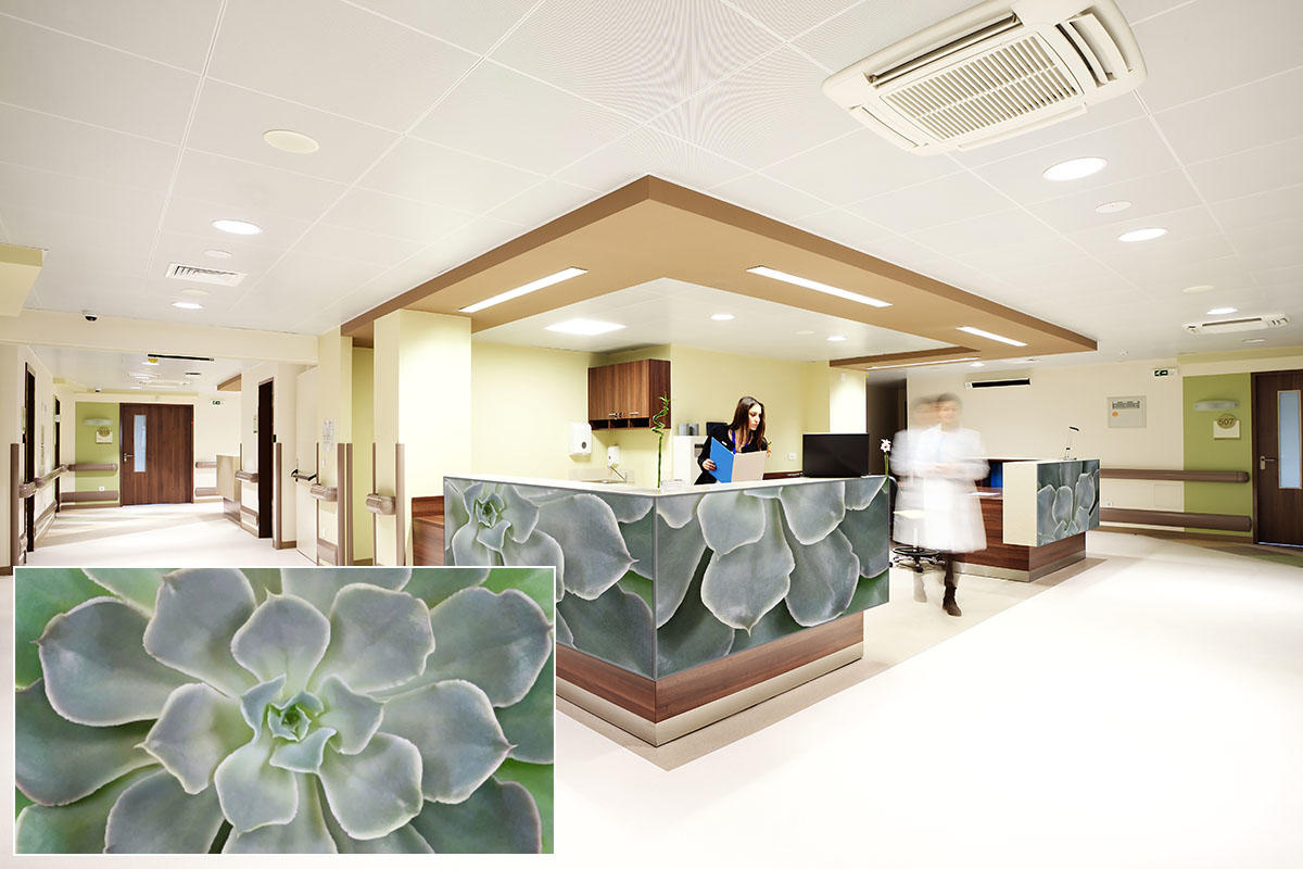 FSRT385 Зум-стекло Vivispectra с прослойкой рисового поля  Forms-surfaces  - Вид №14