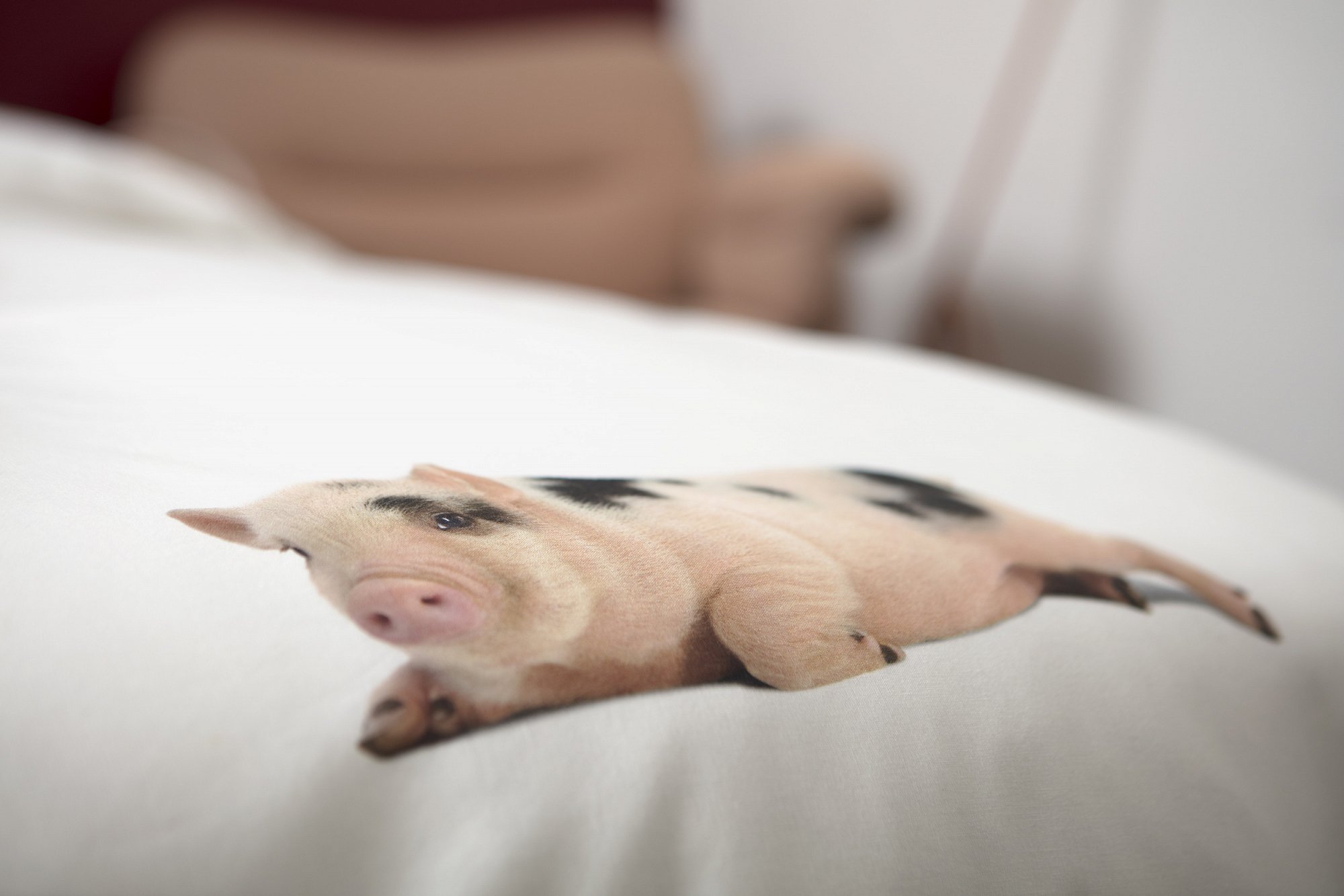 Детское постельное белье двуспальное "Поросенок" белое 200х220 см SNURK  335480 Белый  - Вид №2