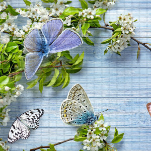 Панель ПВХ 0,3 мозаика «Баттерфляй» STELLA STSR-762