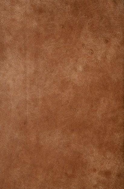 Heerenhuis Кожаное кресло с подлокотниками sun-id-1390481 - Вид №2