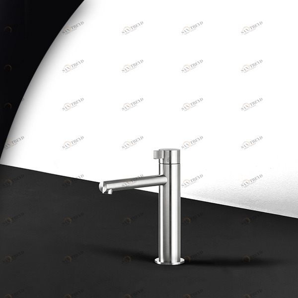 Смеситель для раковины TOOX TXQ2S серебристый матовый Radomonte