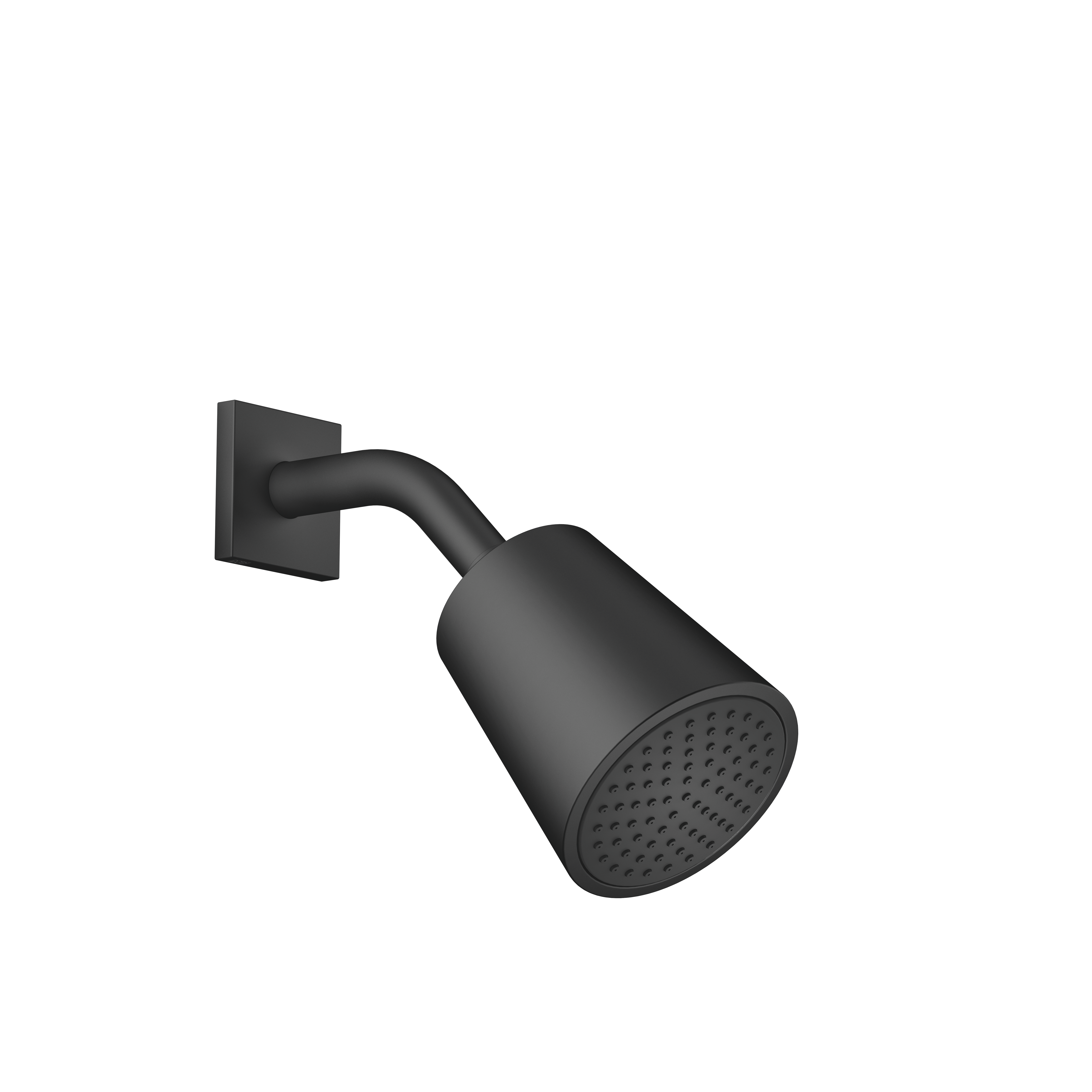 Душевая лейка - матовый черный 28504670-33 DornBracht 