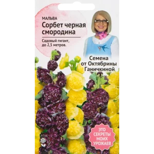 Мальва «Сорбет Чёрная смородина» 0.1 г 82481677 STLM-2065808