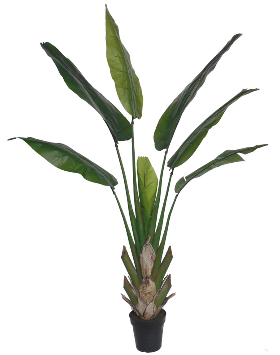 5894 883 a3 Хеликония искусственная, в горшке, 210 см, зеленая H-andreas  - Вид №4