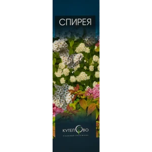 Спирея японская Широбана 84014200 STLM-2000384