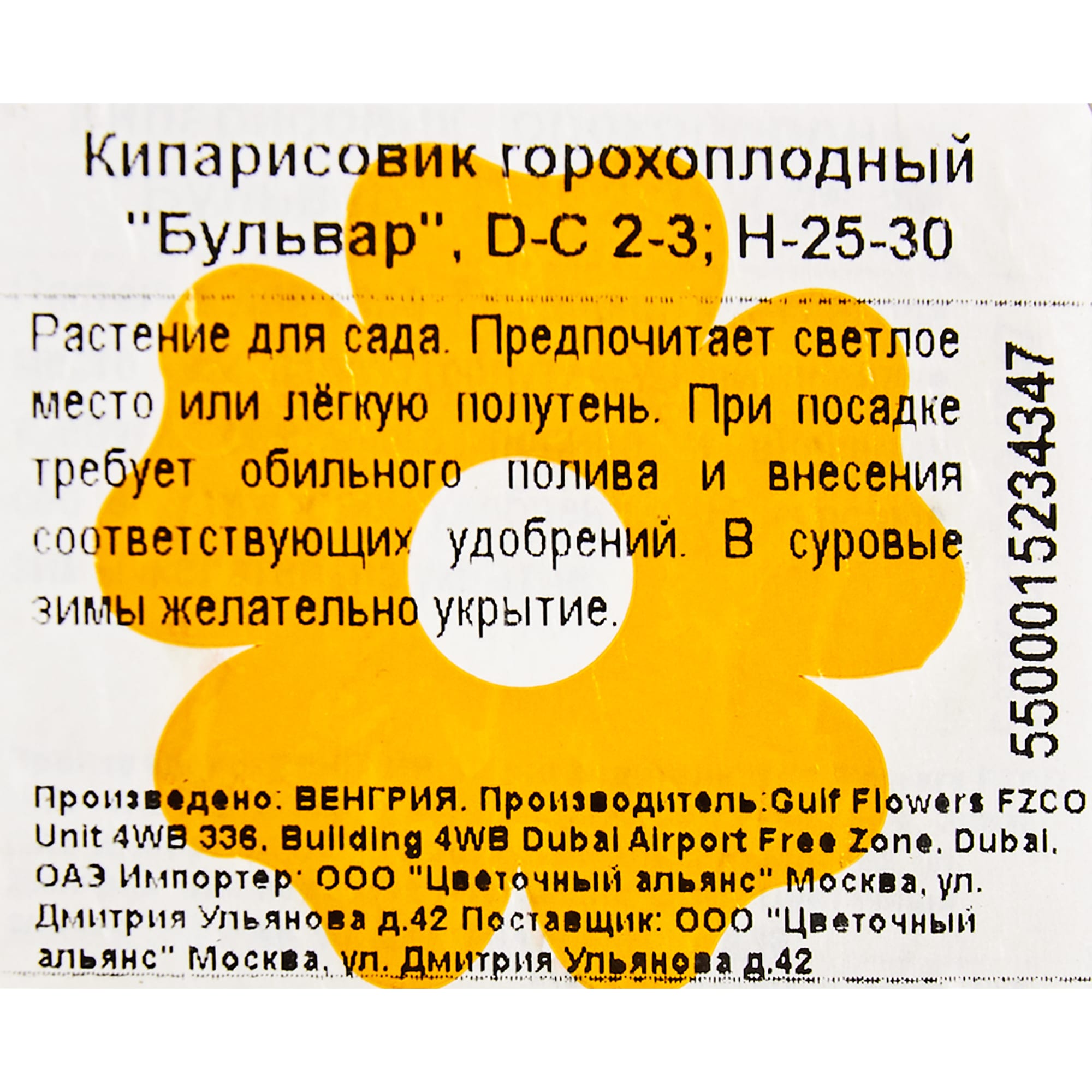 82176379 Кипарисовик горох «Бульвар» 2-3 л 25-30 см Santreyd  - Вид №1