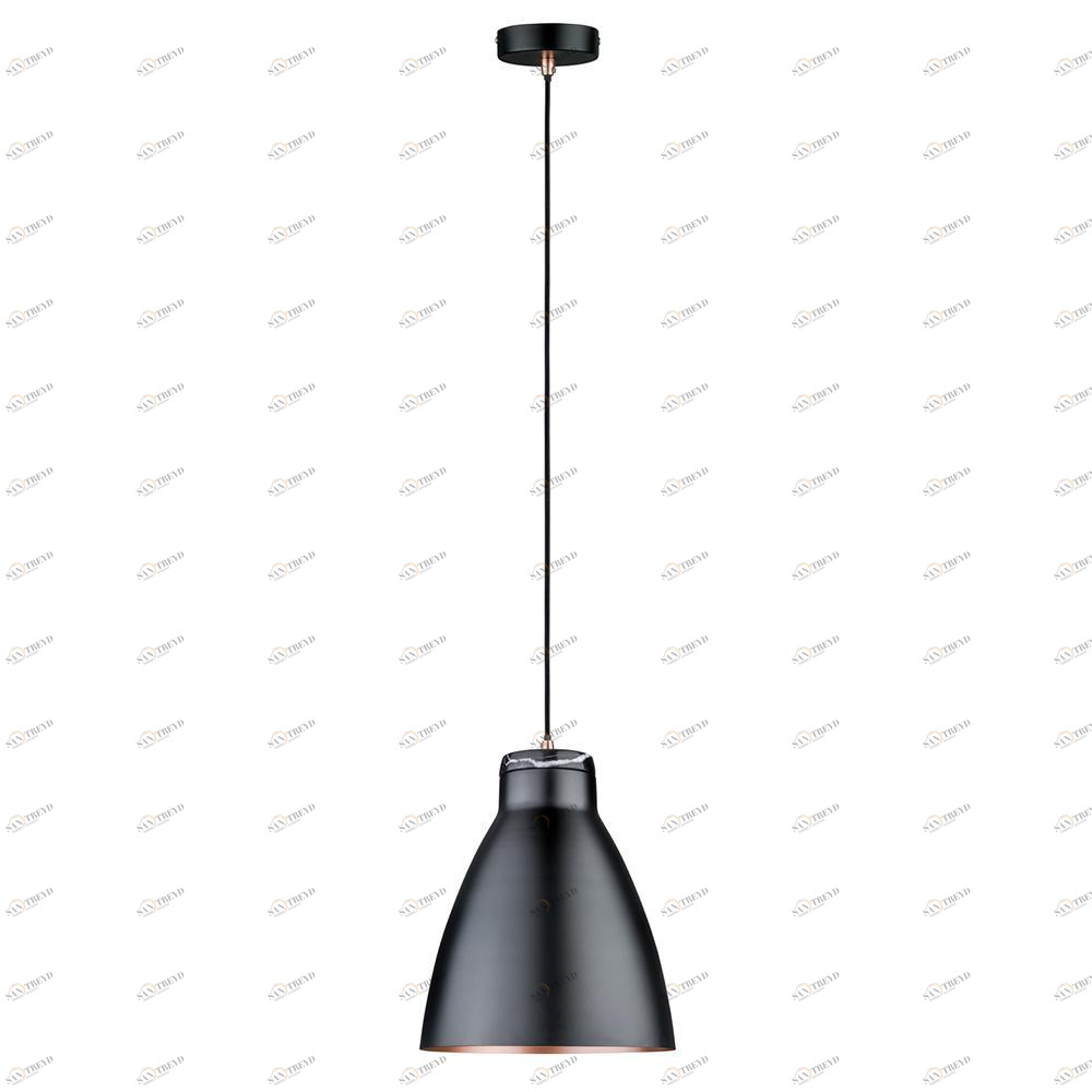 Подвесной светильник Paulmann Roald 79609 PAULMANN ROALD 199674 Черный 