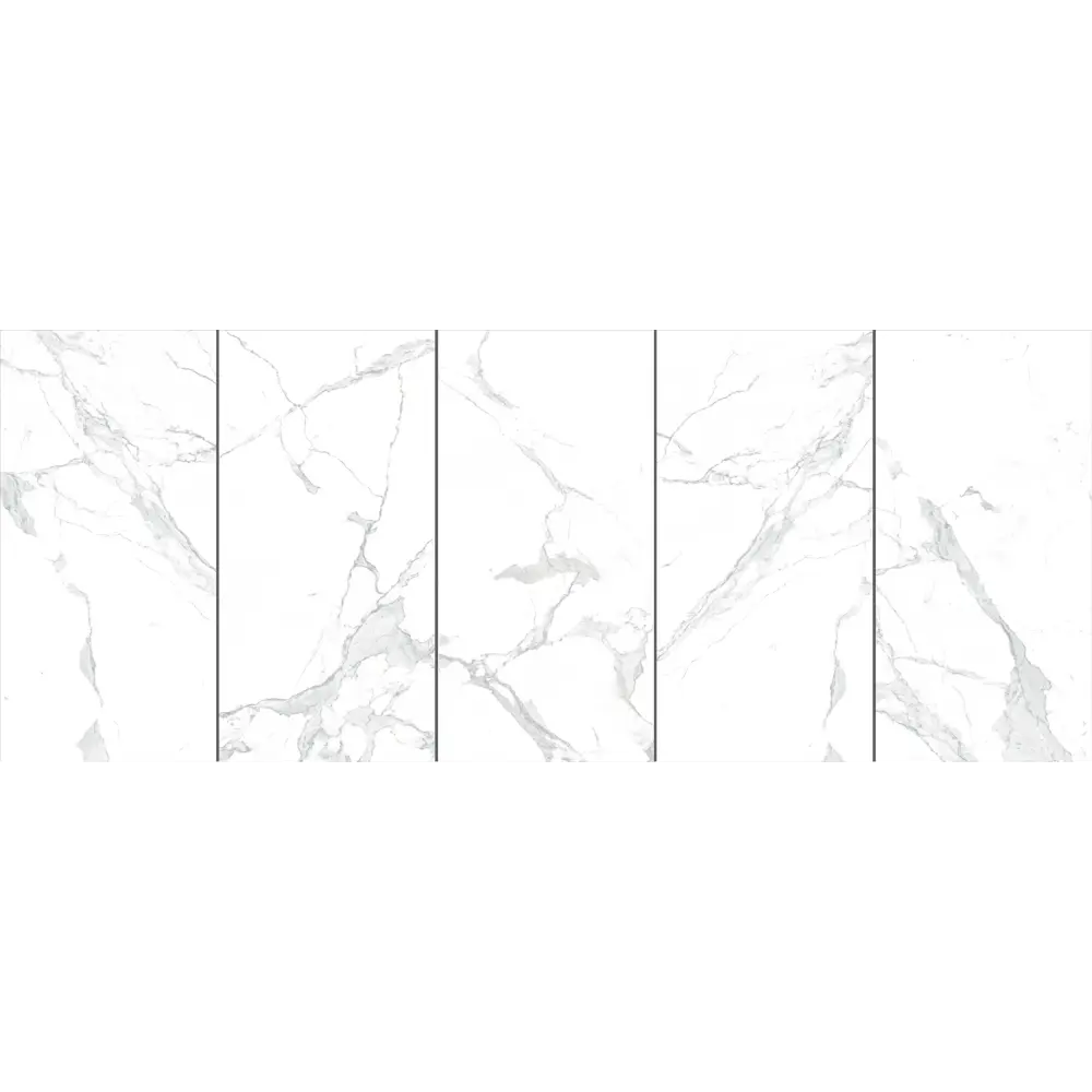 Керамогранит ARCADIA CERAMICA Paradise Statuario Carving - матовый белый 60×60 см 89396420 STLM-1359346 - Вид №2