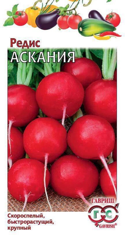 Семена редиса Аскания от ГАВРИШ - ранний урожай сочных корнеплодов 83606994