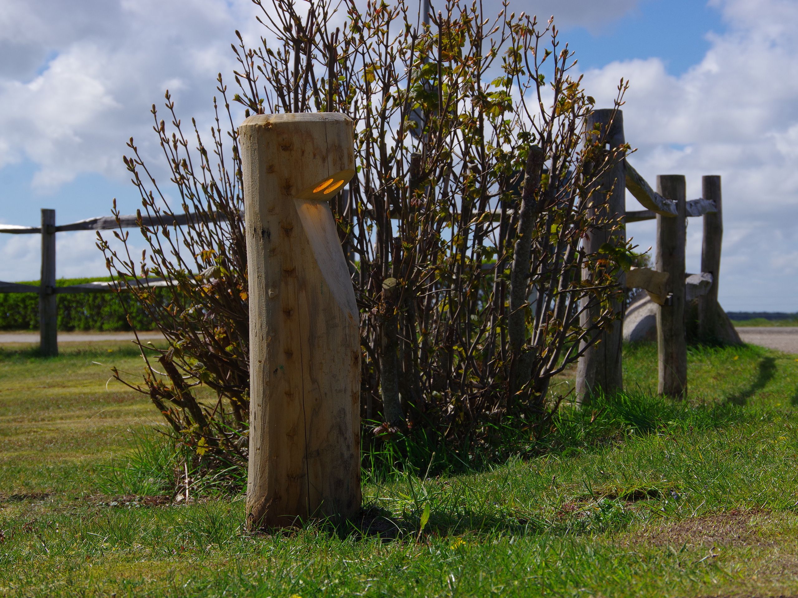 Каштановый светодиодный световой столб Timberlab BOSCO ARCH-00137906 - Вид №4