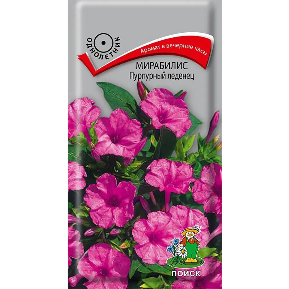 Семена цветов Поиск мирабилис Пурпурный леденец STLM-2204039