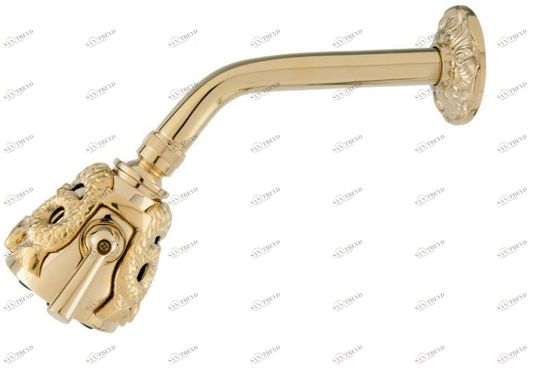 Bronces Mestre Золотая настенная лейка для душа с кронштейном Shower system 046036.dl0.00