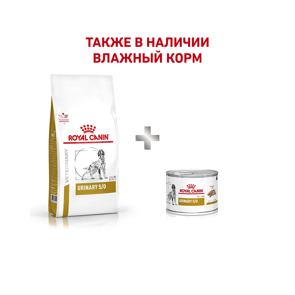 Т0023216 Корм для собак Vet Diet Urinary S/O LP18 при мочекаменной болезни сух. 2кг ROYAL CANIN  - Вид №5