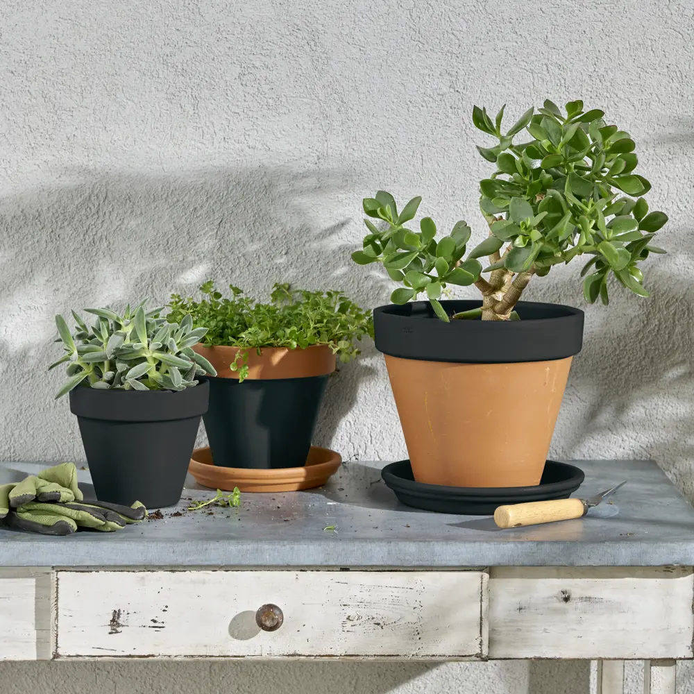 Аэрозольная эмаль Luxens - глянцевый черный для интерьера и улицы 83237382 STLM-0039740 - Вид №5