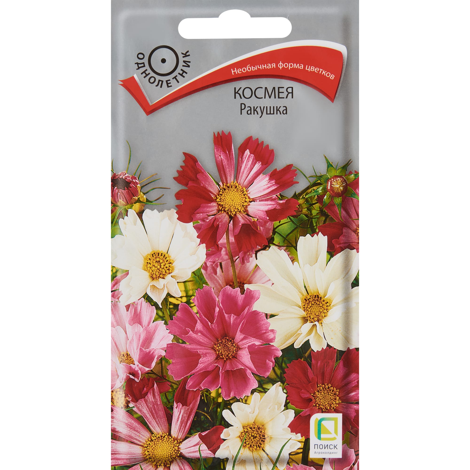 Космея Ракушка семена цветов ПОИСК - однолетнее растение для сада 83577572 STLM-0041957