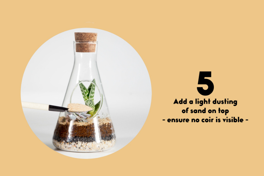 SK TERRCHEM1 Террариум chemistry Suck UK  - Вид №14