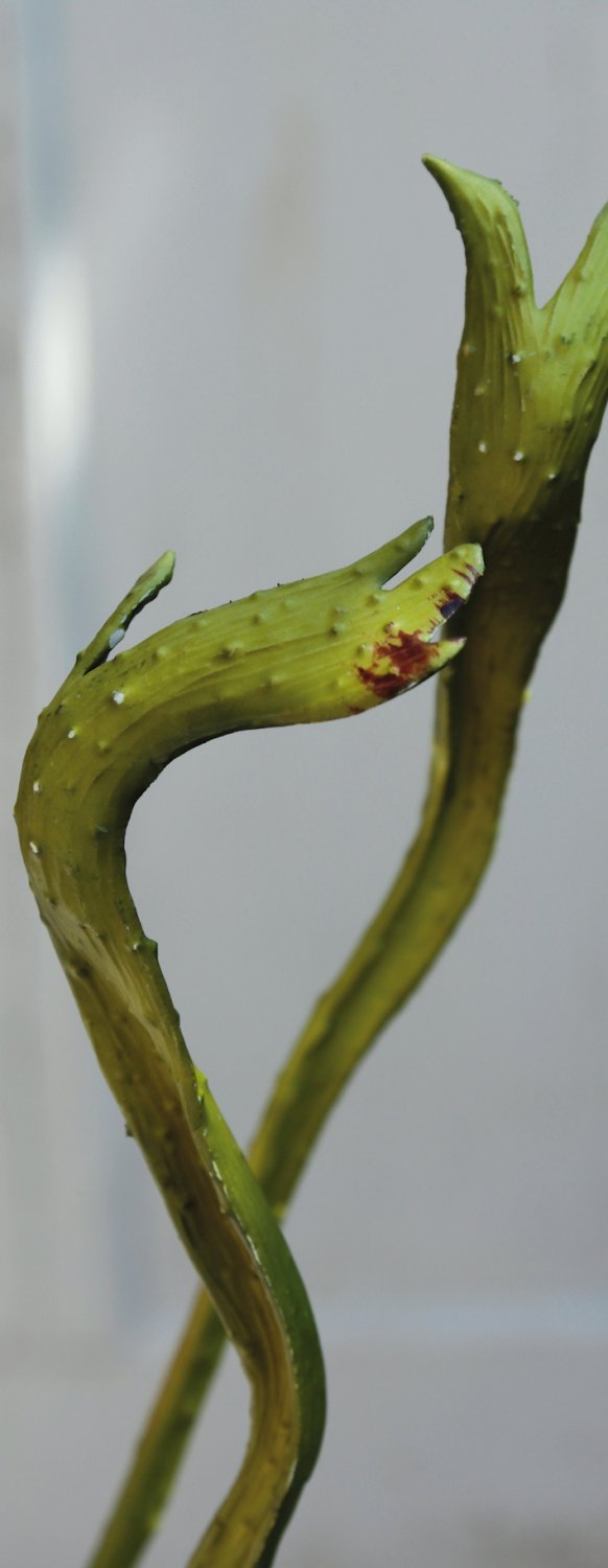 6635 883 a3 Искусственная ветка ивы японской веерной, 118 см, зеленая H-andreas  - Вид №3