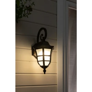 Светильник уличный настенный Меридиан 100 Вт IP54