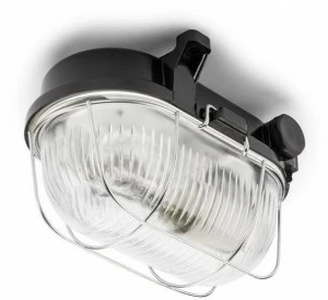 THPG Уличный потолочный светильник  100500