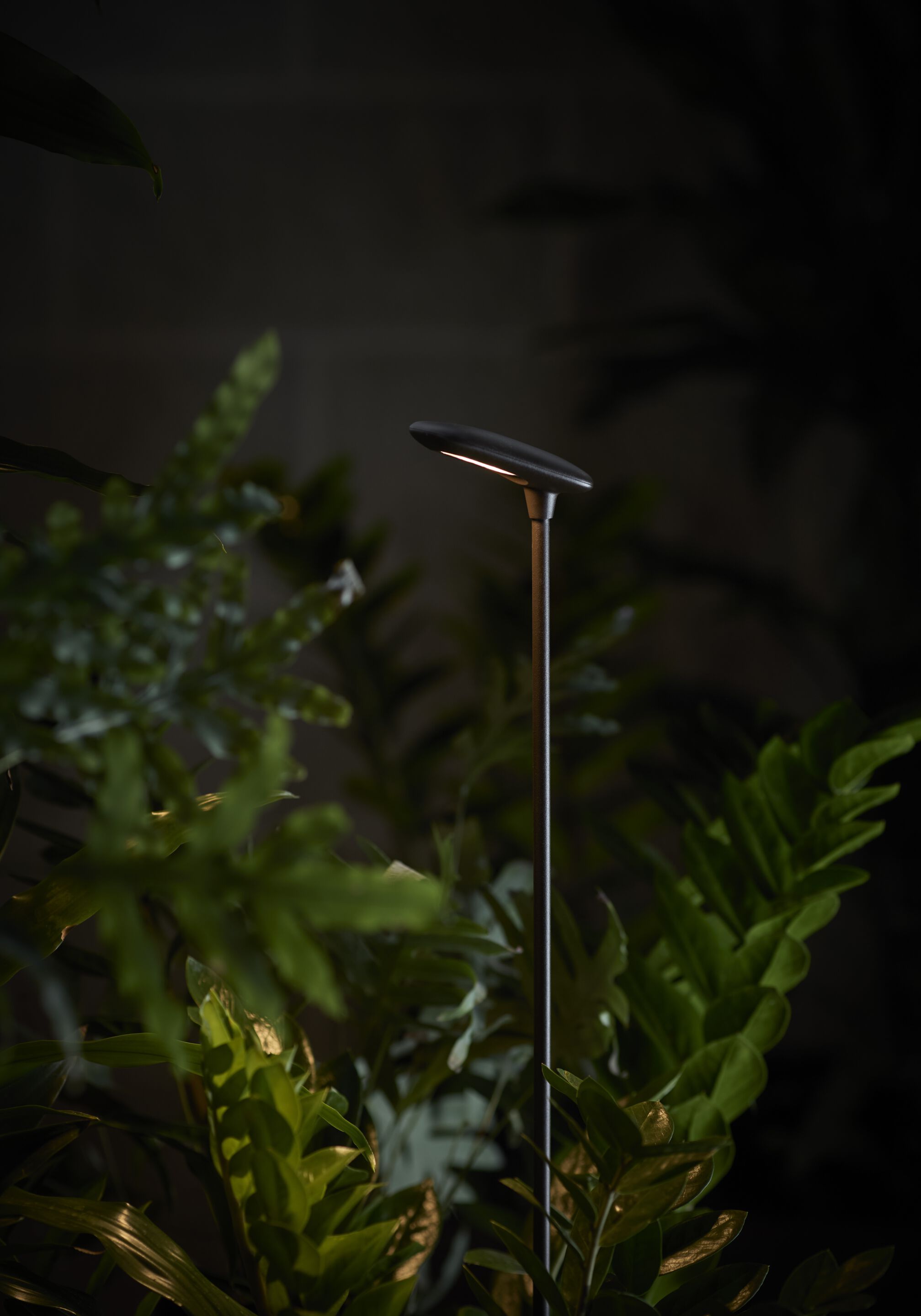 Светодиодный световой столб Bover птичка ARCH-00072844 - Вид №2