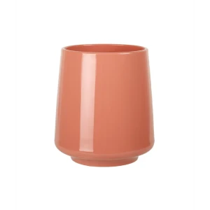 Стакан для зубных щёток Zenfort Блум пластик цвет коралл
