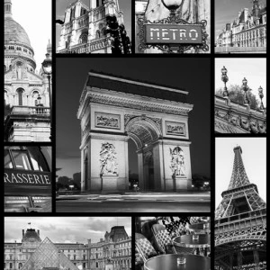 A1-042 Фотообои DIVINO Collection A 2.38х2 м