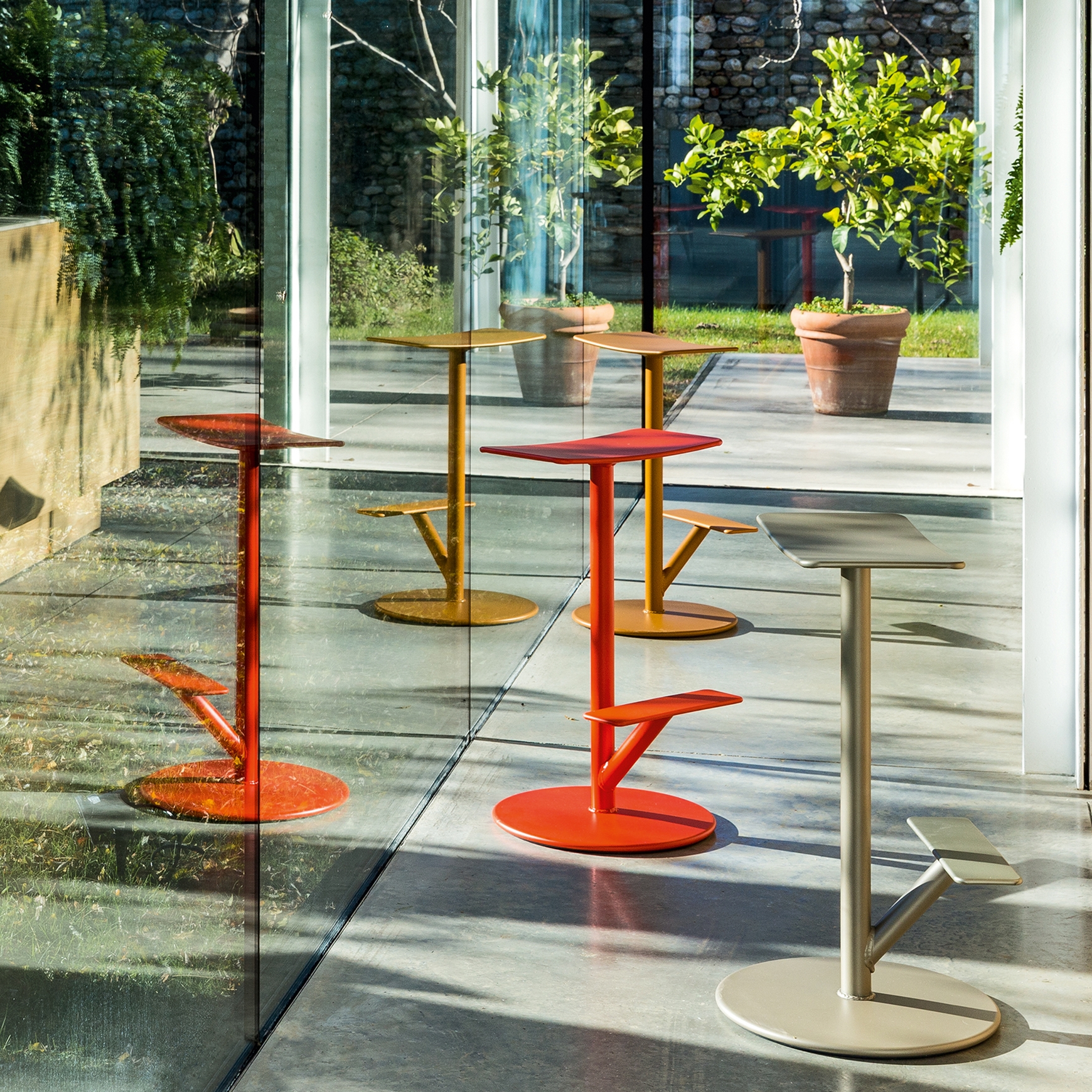 Секвойя Magis sun-id-1328910 - Вид №3