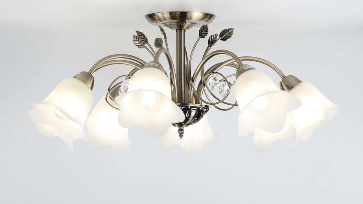 Потолочная люстра Rivoli Giardino 2031-308 RIVOLI GIARDINO 336913 Белый;бронза - Вид №2