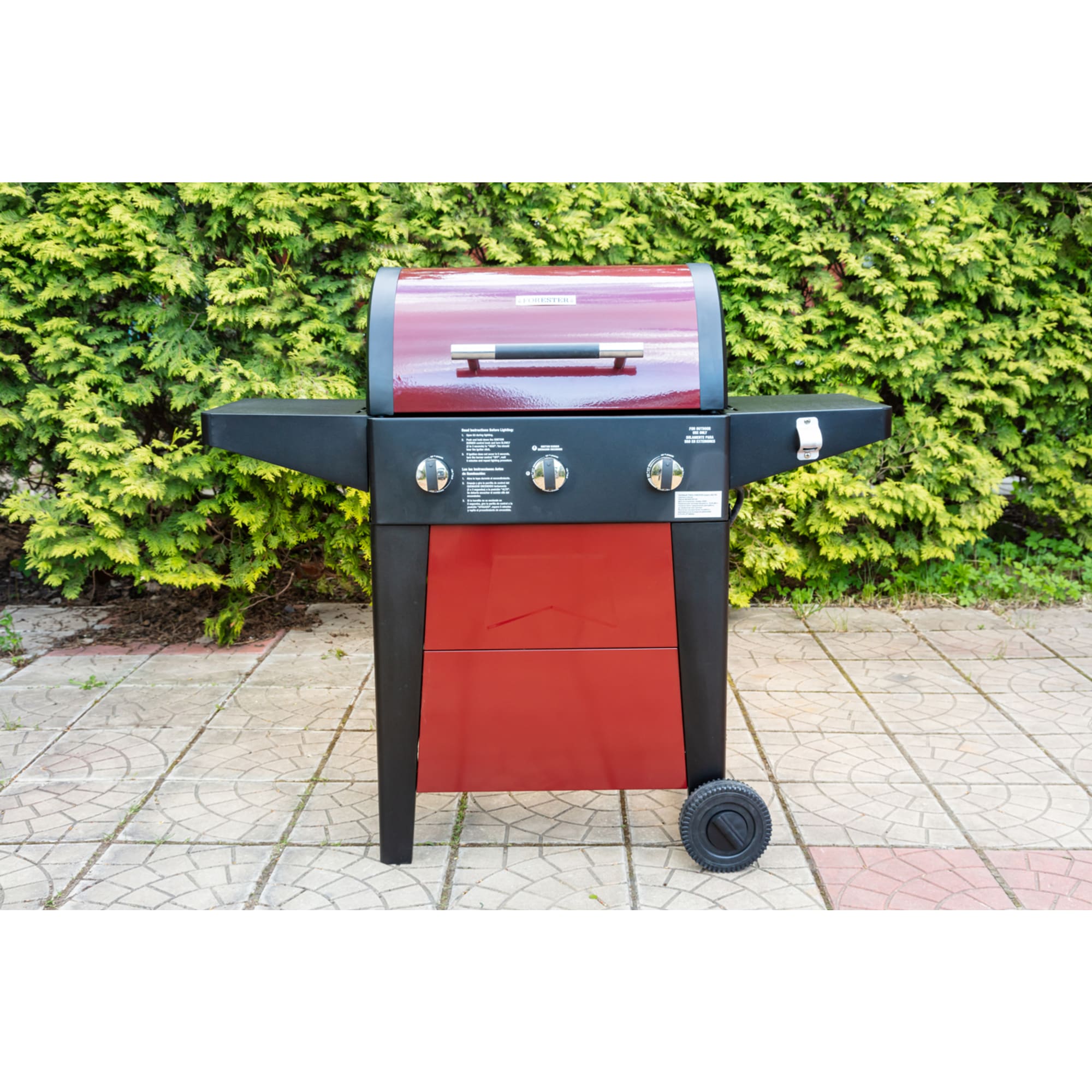 82993686 Гриль газовый Forester BQ-700 Santreyd  - Вид №2