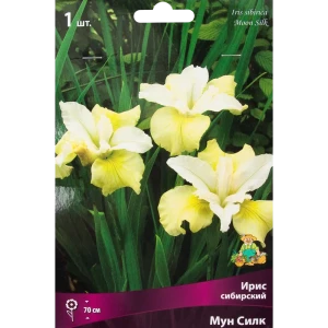 Ирис сибирский «Мун Силк», размер луковицы I 82319549 STLM-2148232